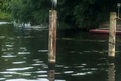 Garten an der Havel1176