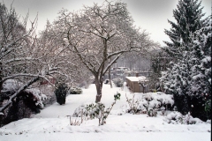 Garten an der Havel2_2