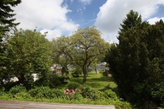 Garten an der Havel4333